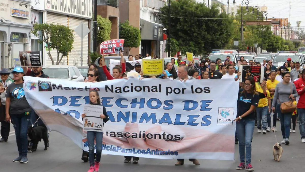 Marcha Animal 3